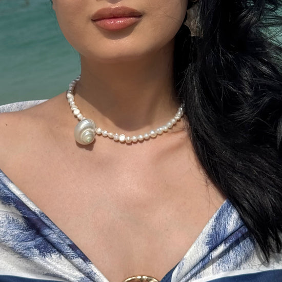 SEASHELL