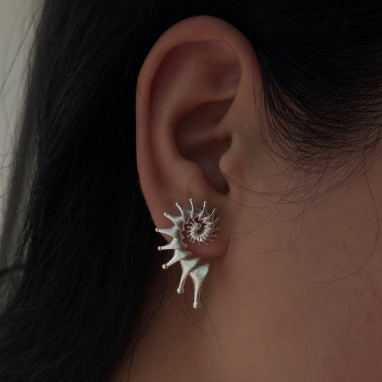 CONCH