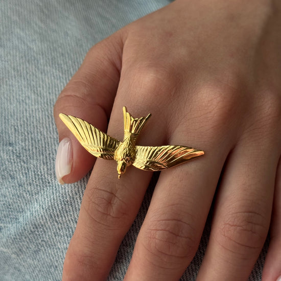 FLYLA
